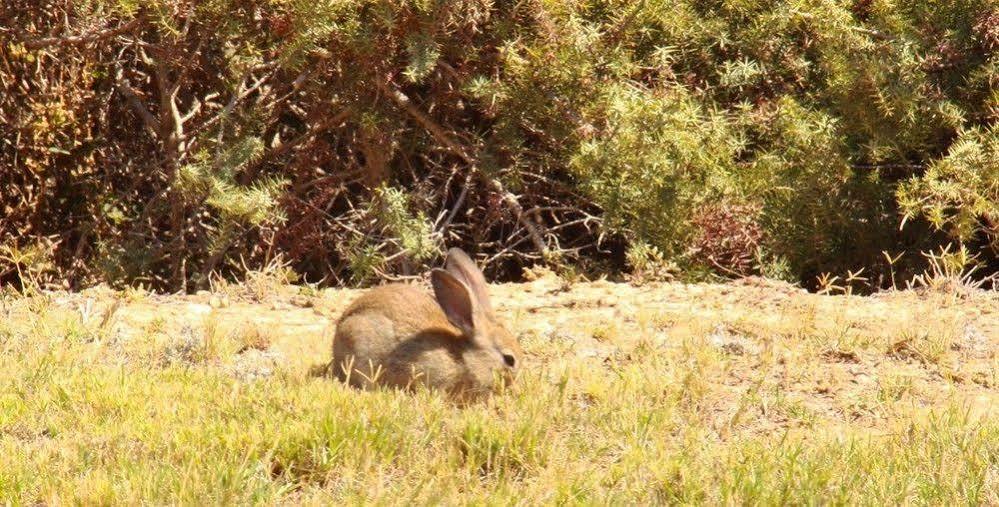 Kalimera Paros Szánda María Kültér fotó